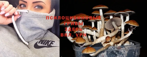 a pvp Абдулино