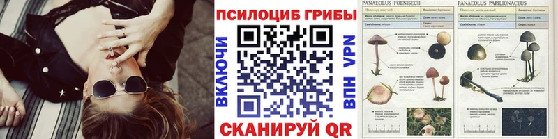 Галлюциногенные грибы Cubensis  Тихорецк 