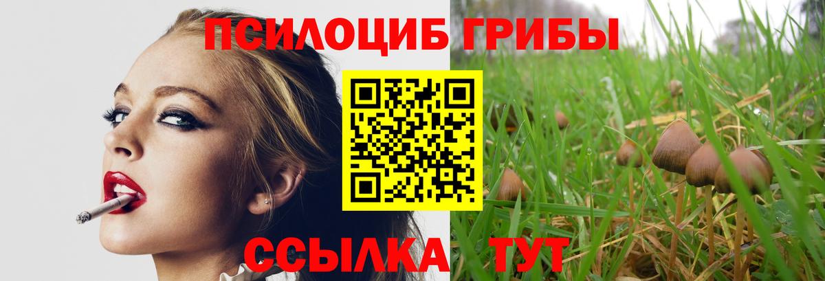 Галлюциногенные грибы Cubensis Тихорецк
