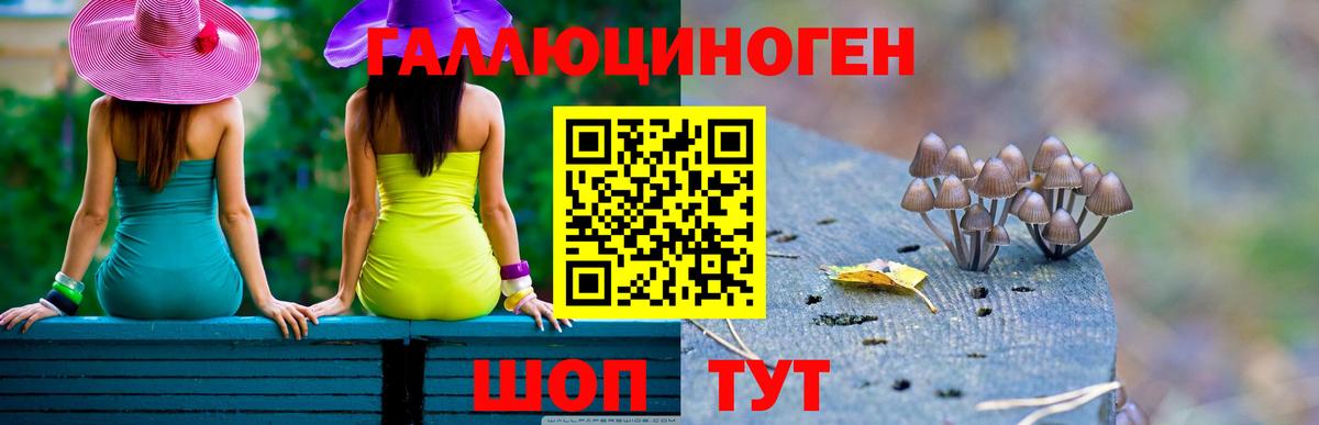 Тихорецк  Псилоцибиновые грибы Psilocybe  Вход с VPN  Псилоцибиновые грибы Psilocybe 
